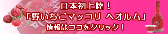 ���{���㗤�I�u�삢�����}�b�R�� �w�I�����v