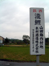 山田錦作付地