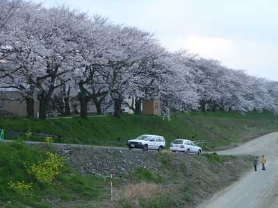 fukuchitose2